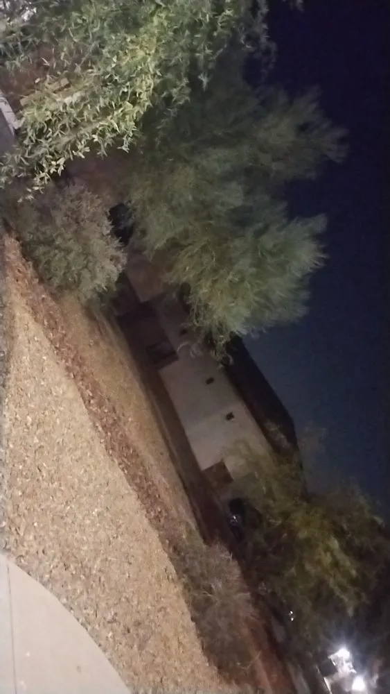 Reliable yard maintenance for year-round maintenance in Phoenix, AZ by Jermaine Landscaping Services