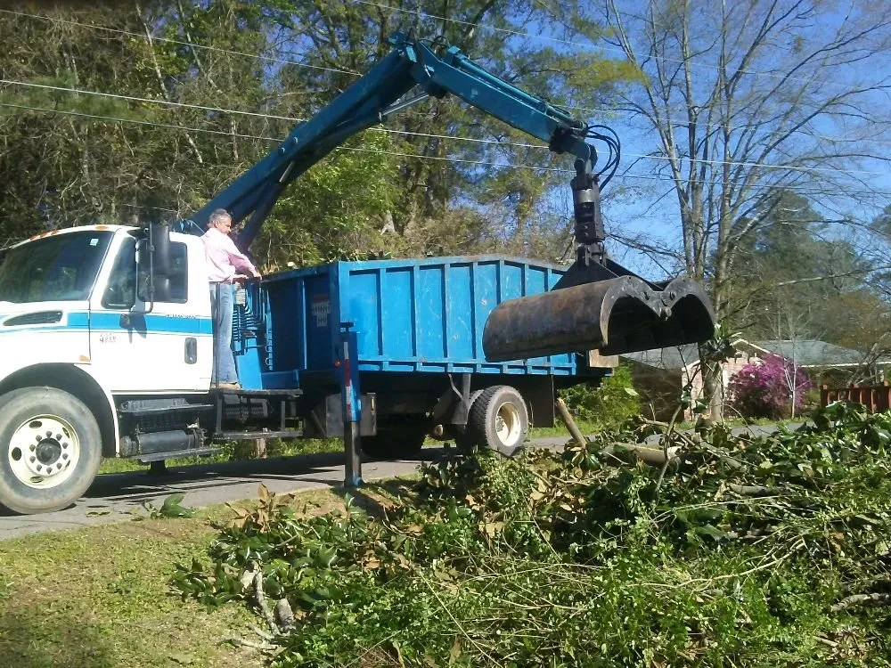 Reliable landscape design for homes in Winfield, AL by Jermery Rossi Tree Service