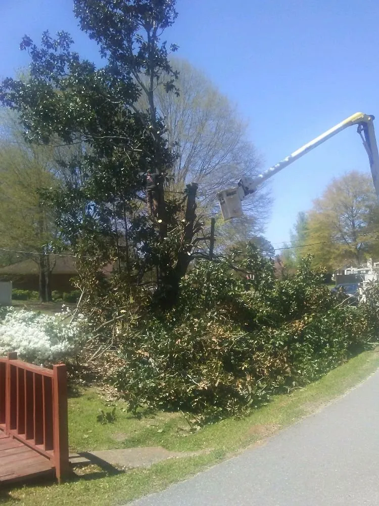 Affordable residential landscaping experts serving Winfield, AL - Jermery Rossi Tree Service