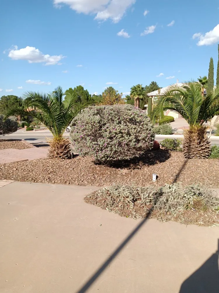 Local yard cleanup service in El Paso, TX - Jerome's Landscaping & Painting