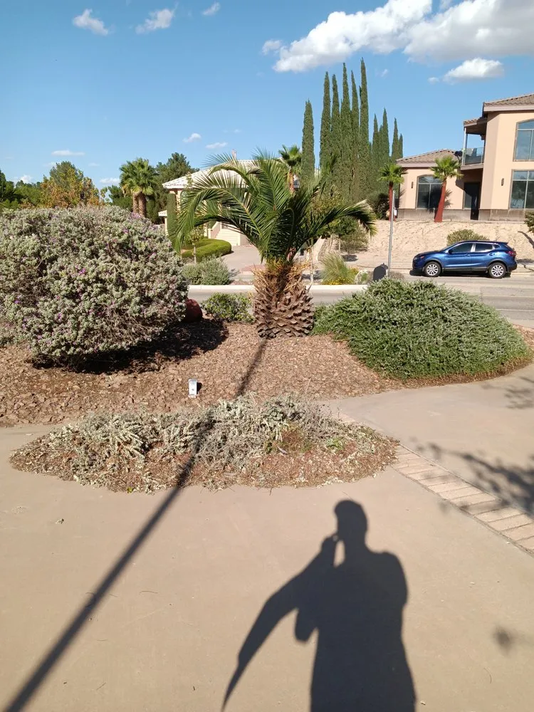Expert outdoor landscaping with custom design across El Paso, TX - Jerome's Landscaping & Painting