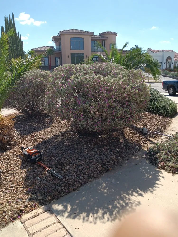 Reliable yard maintenance for homes in El Paso, TX by Jerome's Landscaping & Painting