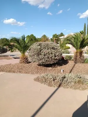 Jerome's Landscaping & Painting Logo