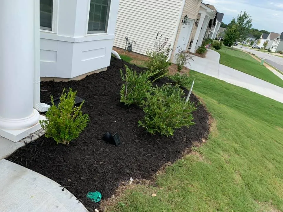 Professional lawn care service for residential properties in Gray Court, SC by Jeronimo Construction and Landscaping