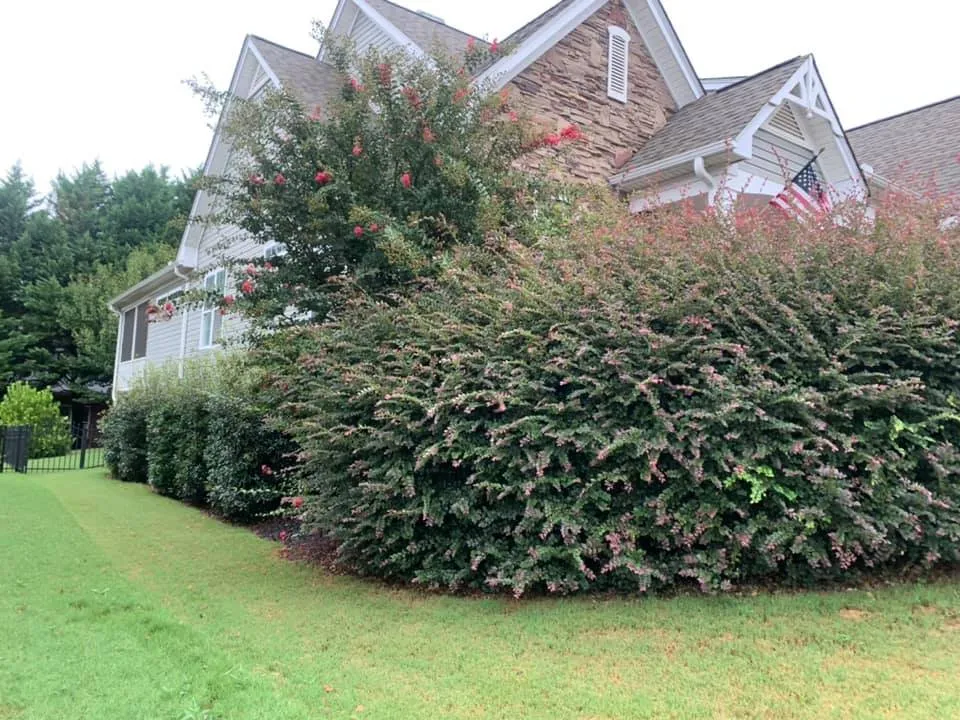 Trusted landscape installation experts serving Gray Court, SC - Jeronimo Construction and Landscaping