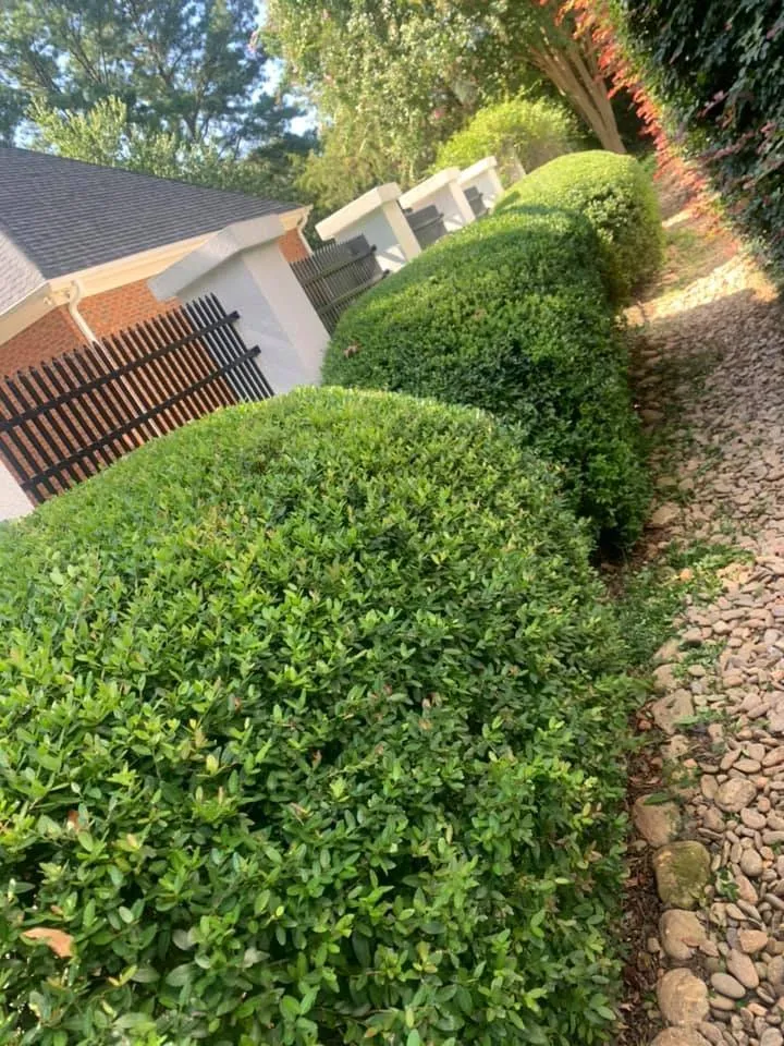 Expert landscaping services in Gray Court, SC - Jeronimo Construction and Landscaping