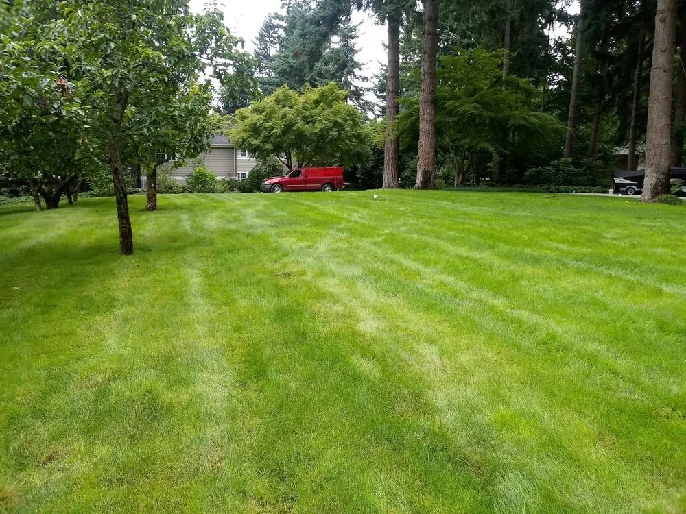 Affordable garden landscaping for homes across Bremerton, WA - Jeronimo Yard Maintenance