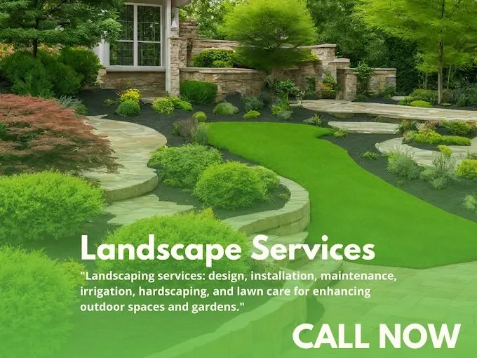 Top-rated yard cleanup service in Bremerton, WA by Jeronimo Yard Maintenance