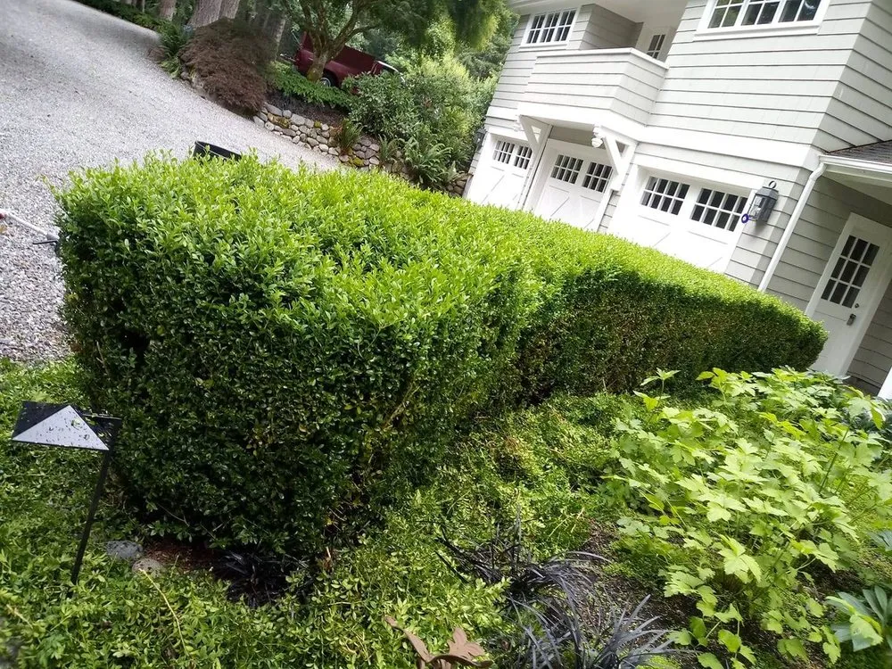 Local landscape installation experts serving Bremerton, WA - Jeronimo Yard Maintenance