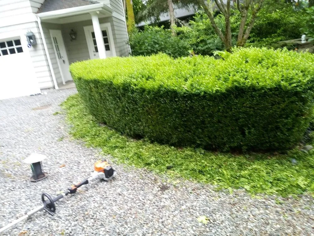 Affordable landscape design in Bremerton, WA - Jeronimo Yard Maintenance
