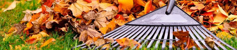 Top-rated landscaping services in Shelton, WA - Jeronimos Landscape