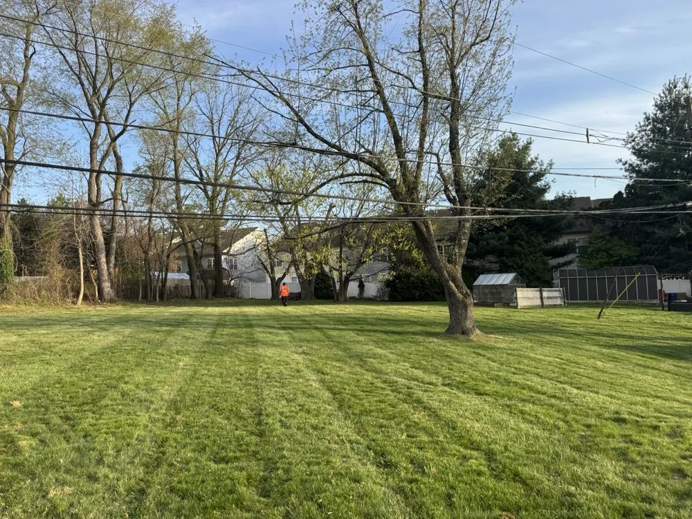 Reliable yard maintenance for residential properties in Lansdowne, PA by Jero's Landscaping