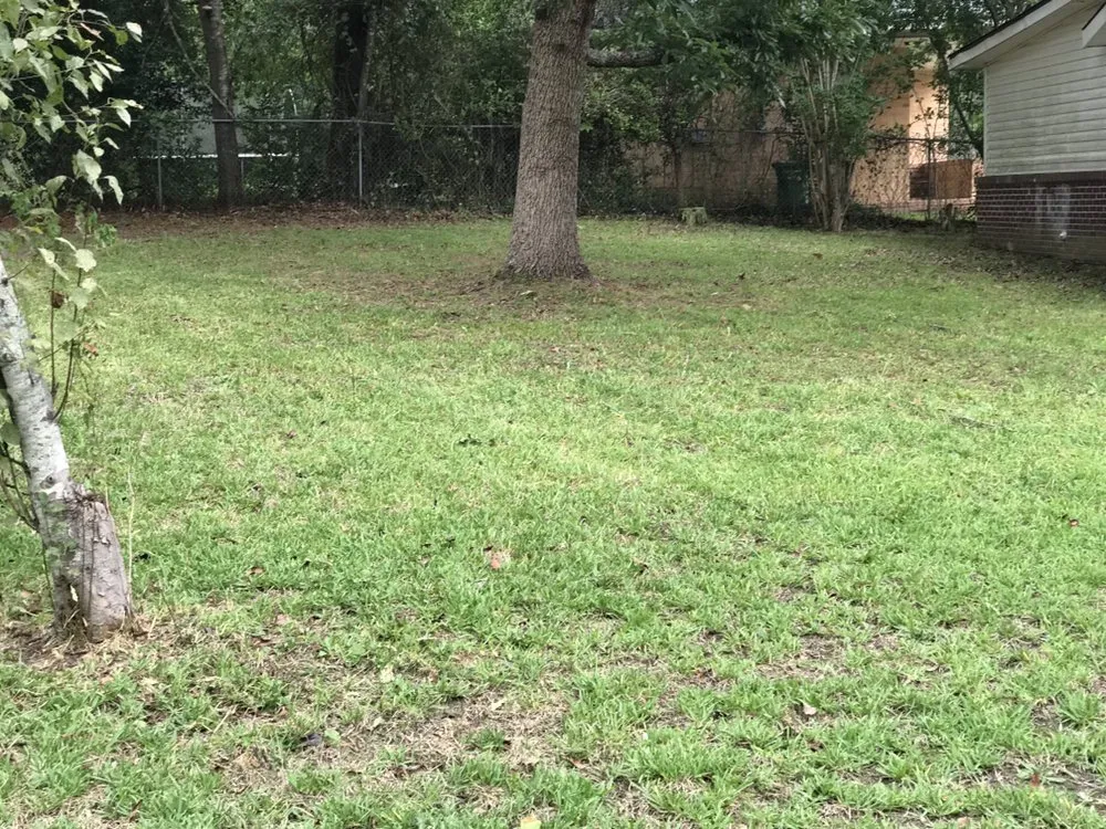 Reliable landscape design for homes across Macon, GA - Jerrell Exterior Cleaning And Lawn Service