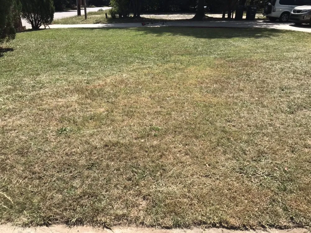 Custom outdoor landscaping experts serving Macon, GA - Jerrell Exterior Cleaning And Lawn Service