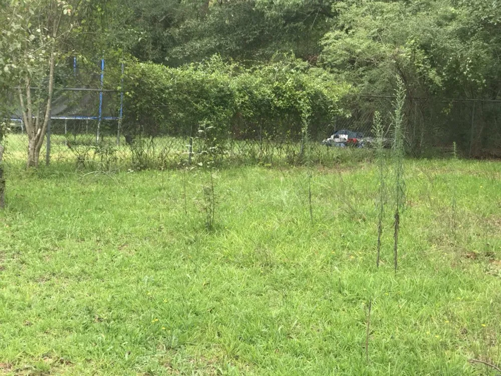 Custom outdoor landscaping for homes in Macon, GA by Jerrell Exterior Cleaning And Lawn Service