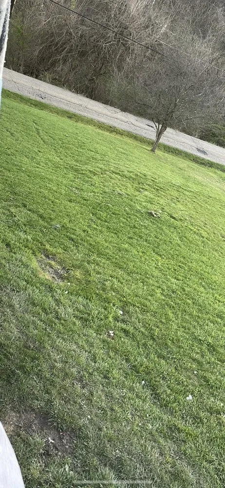 Affordable landscaping services in Mingo Junction, OH by Jerry & Kelly’s Lawn Care