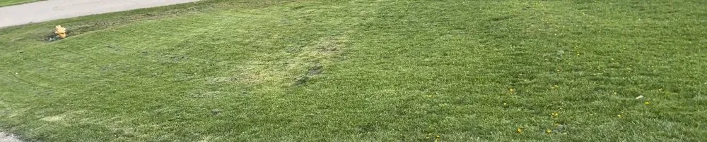 Professional residential landscaping near you in Mingo Junction, OH by Jerry & Kelly’s Lawn Care