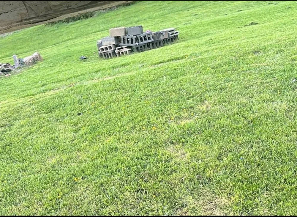 Trusted lawn care service for year-round maintenance in Mingo Junction, OH by Jerry & Kelly’s Lawn Care