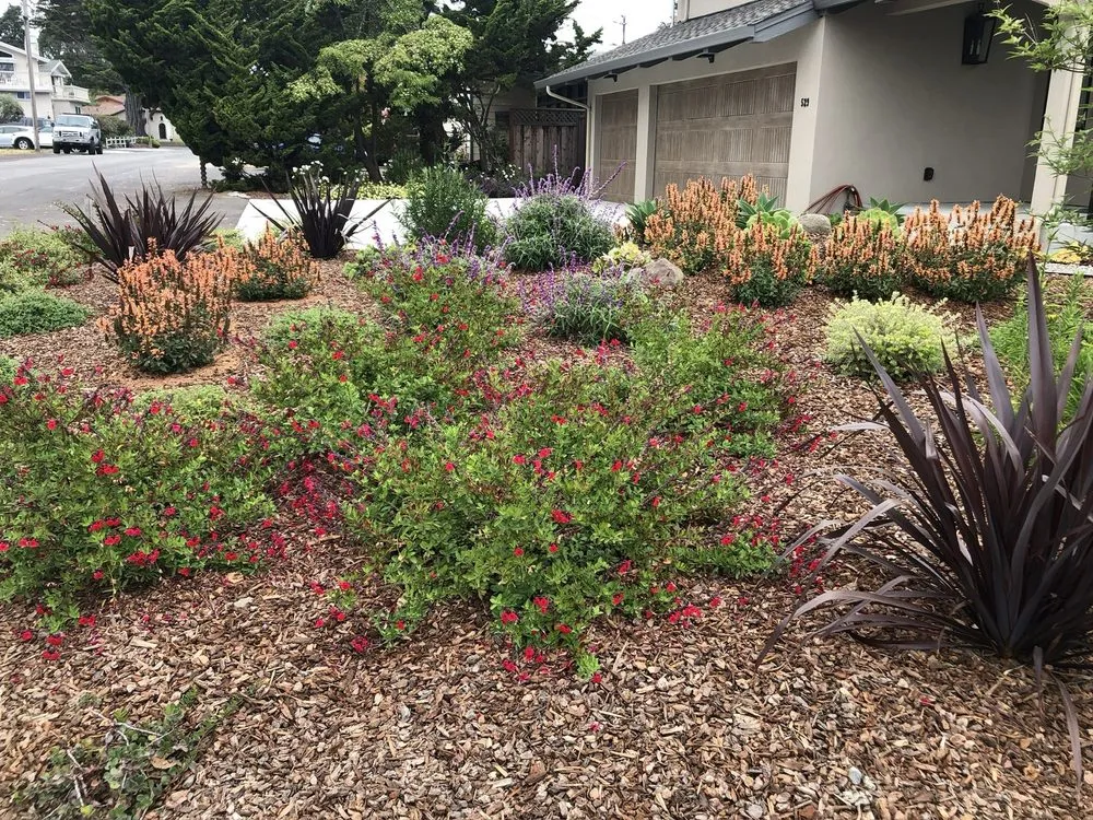 Reliable residential landscaping for homes in Watsonville, CA by Jerry Allison Landscaping