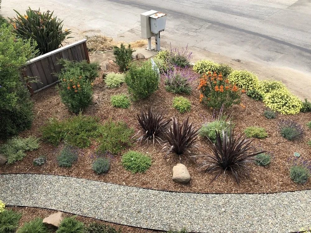 Top-rated garden landscaping in Watsonville, CA - Jerry Allison Landscaping