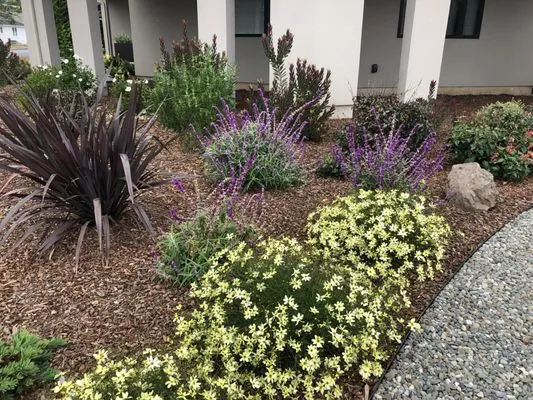 Jerry Allison Landscaping