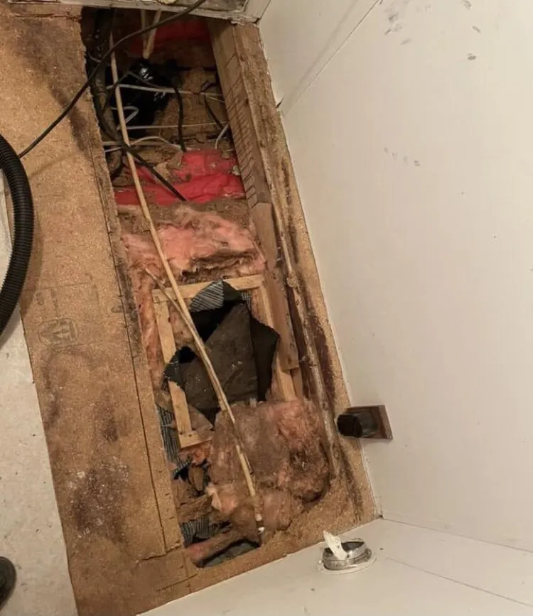 Reliable landscape design experts serving Suffolk, VA - Jerry And Son’s Pressure Wash and Lawn Care