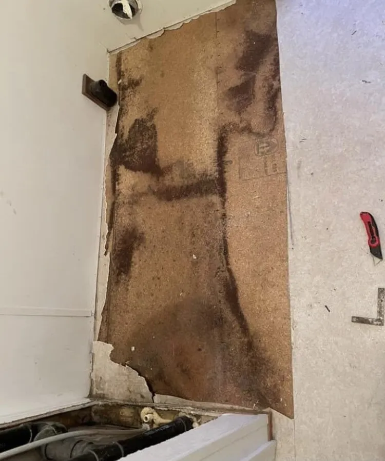 Affordable yard maintenance in Suffolk, VA - Jerry And Son’s Pressure Wash and Lawn Care