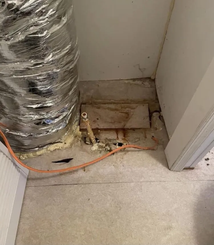 Reliable yard maintenance experts serving Suffolk, VA - Jerry And Son’s Pressure Wash and Lawn Care