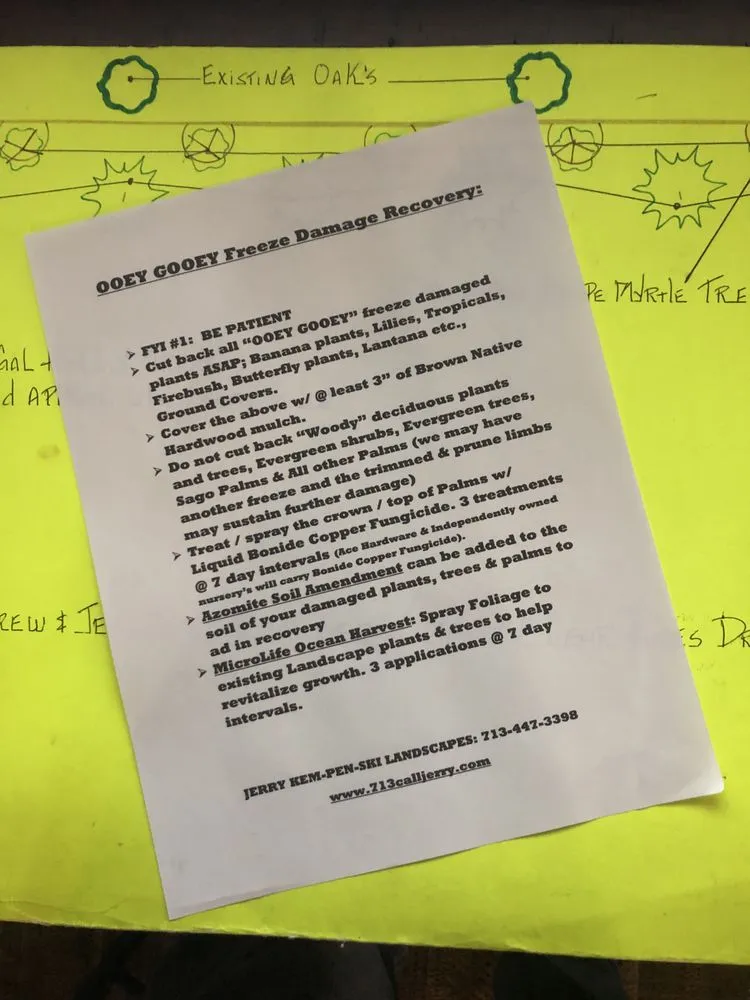 Affordable landscape design experts serving Spring, TX - Jerry Kempenski Landscapes