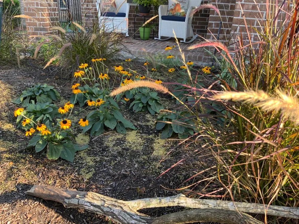 Top-rated landscaping services for beautiful yards in Spring, TX by Jerry Kempenski Landscapes