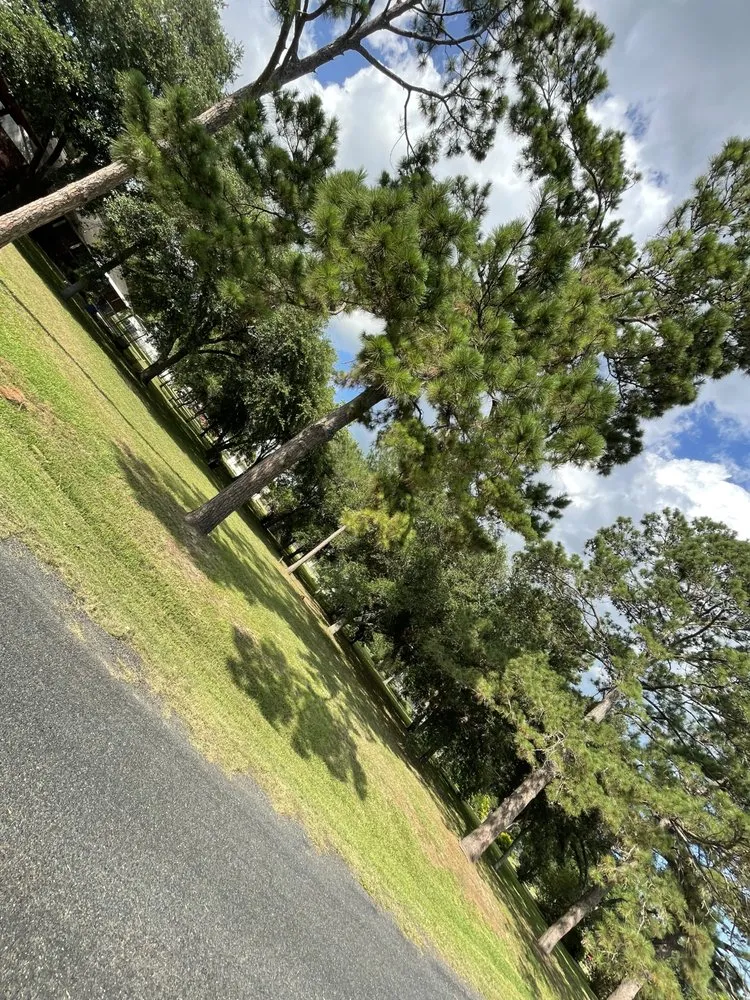 Top-rated landscape design in Victoria, TX by Jerry World Lawn Service