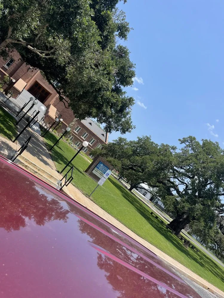 Trusted yard cleanup service in Victoria, TX - Jerry World Lawn Service