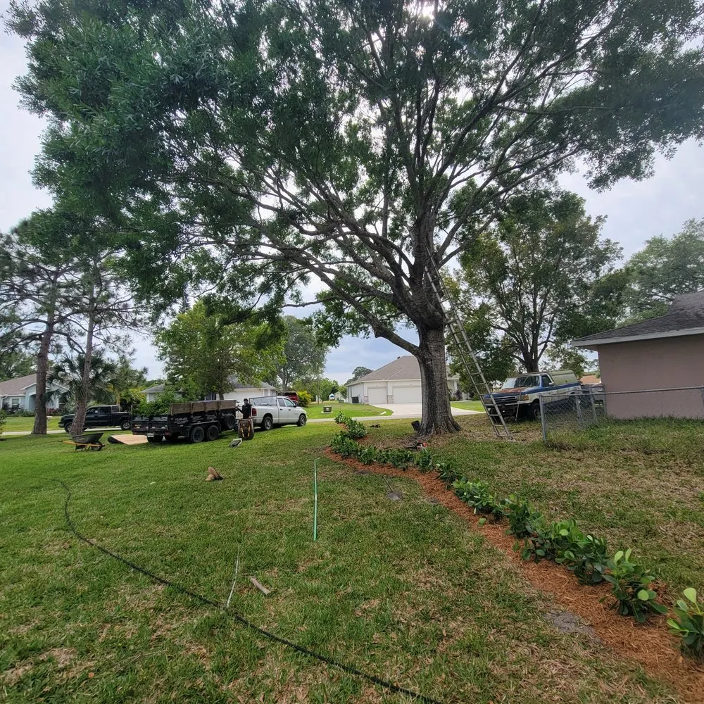 Affordable landscaping services for beautiful yards across Vero Beach, FL - Jerry's Complete Landscaping