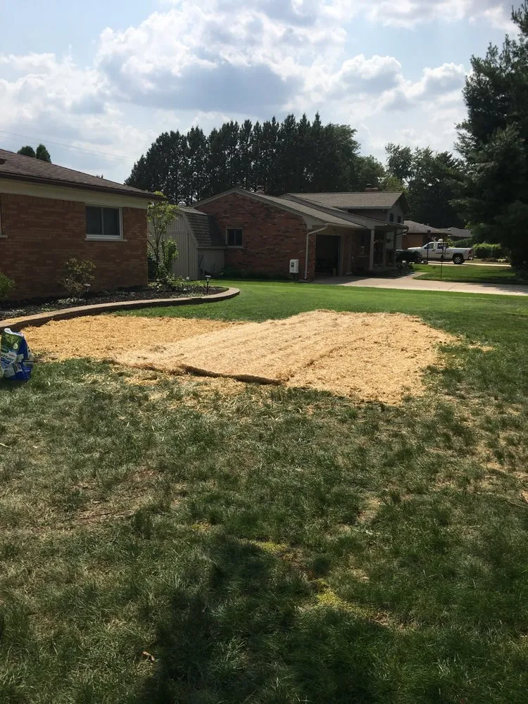 Top-rated yard cleanup service in Clarkston, MI - Jerry's dirt cheap landscape/power washing