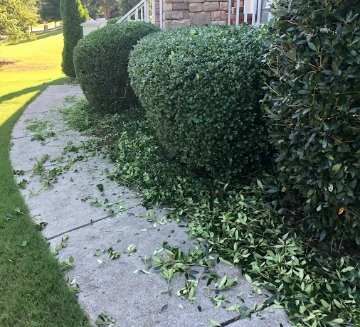 Affordable yard maintenance in Clarkston, MI by Jerry's dirt cheap landscape/power washing