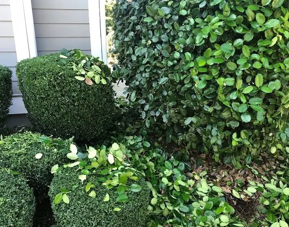 Trusted landscape installation for homes in Clarkston, MI by Jerry's dirt cheap landscape/power washing