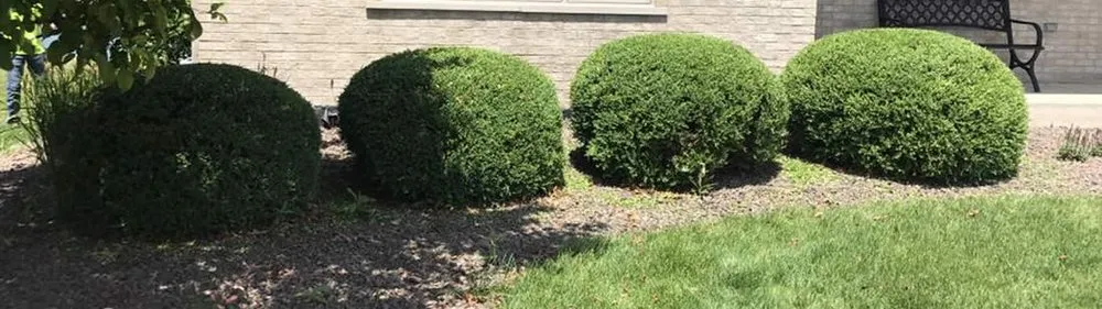 Professional yard maintenance for residential properties across Clarkston, MI - Jerry's dirt cheap landscape/power washing