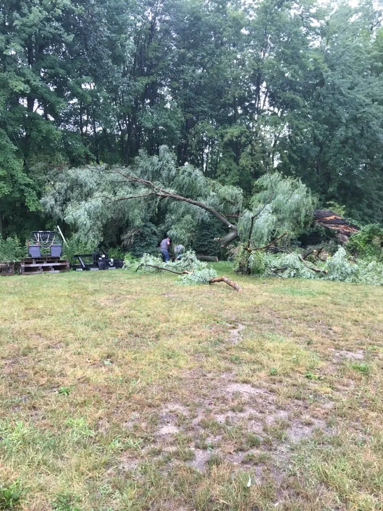 Expert yard maintenance near you in Clarkston, MI by Jerry's dirt cheap landscape/power washing