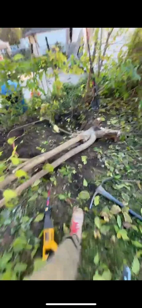 Local lawn care service in Dearborn Heights, MI by Jerry’s Drywall