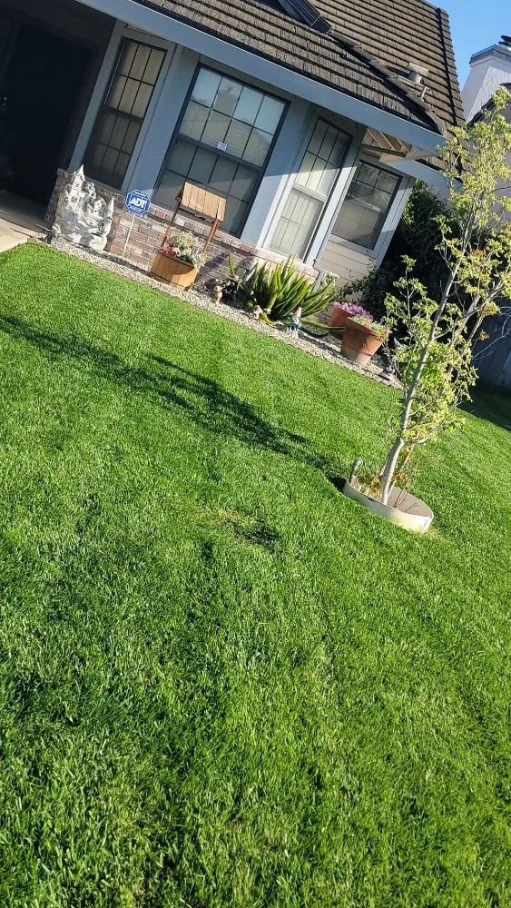 Custom landscape design in Galt, CA - Jerry's Gardening