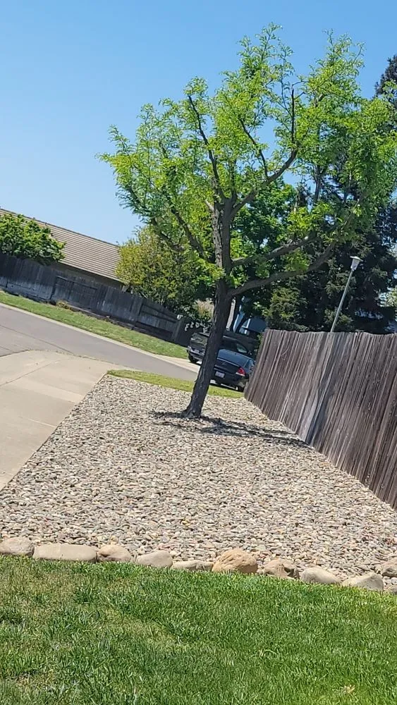 Expert residential landscaping for homes across Galt, CA - Jerry's Gardening