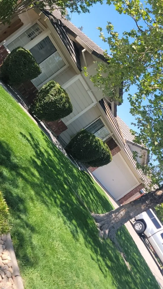 Professional yard maintenance for year-round maintenance across Galt, CA - Jerry's Gardening