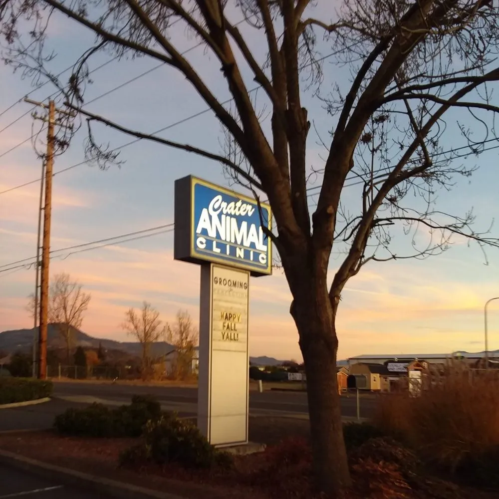 Local landscape installation in Jacksonville, OR by Jerrys Gardening Services