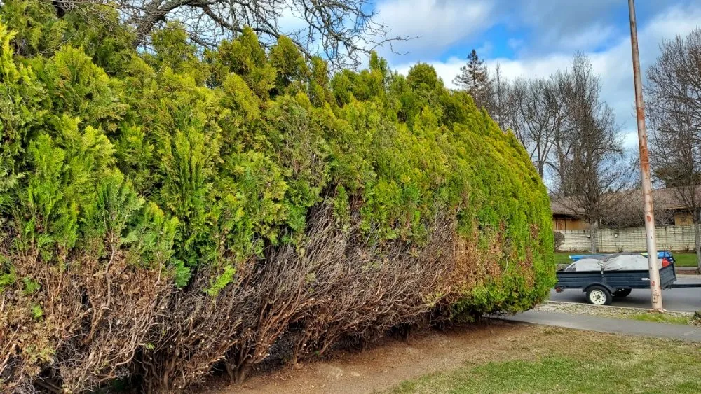 Local outdoor landscaping in Jacksonville, OR by Jerrys Gardening Services