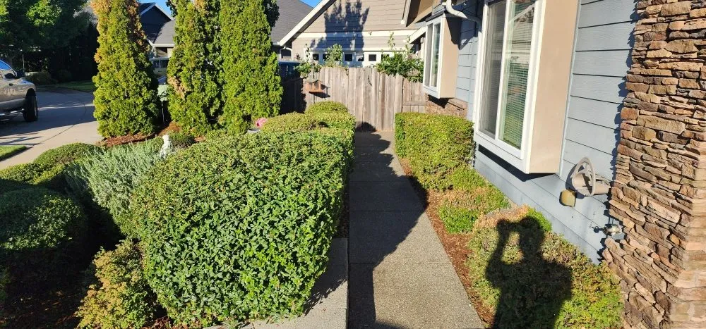 Reliable landscaping services in Jacksonville, OR - Jerrys Gardening Services