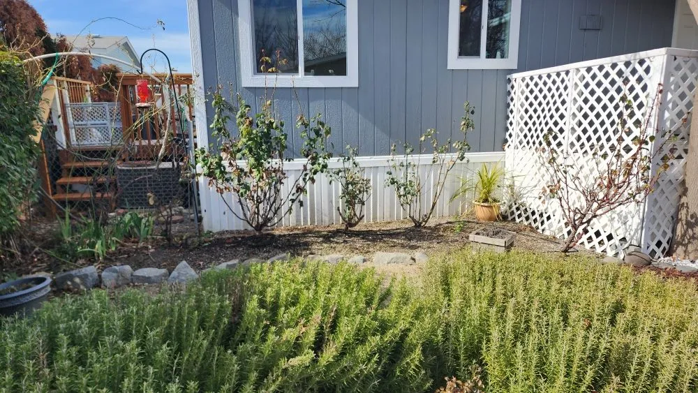 Top-rated landscape design for homes across Jacksonville, OR - Jerrys Gardening Services