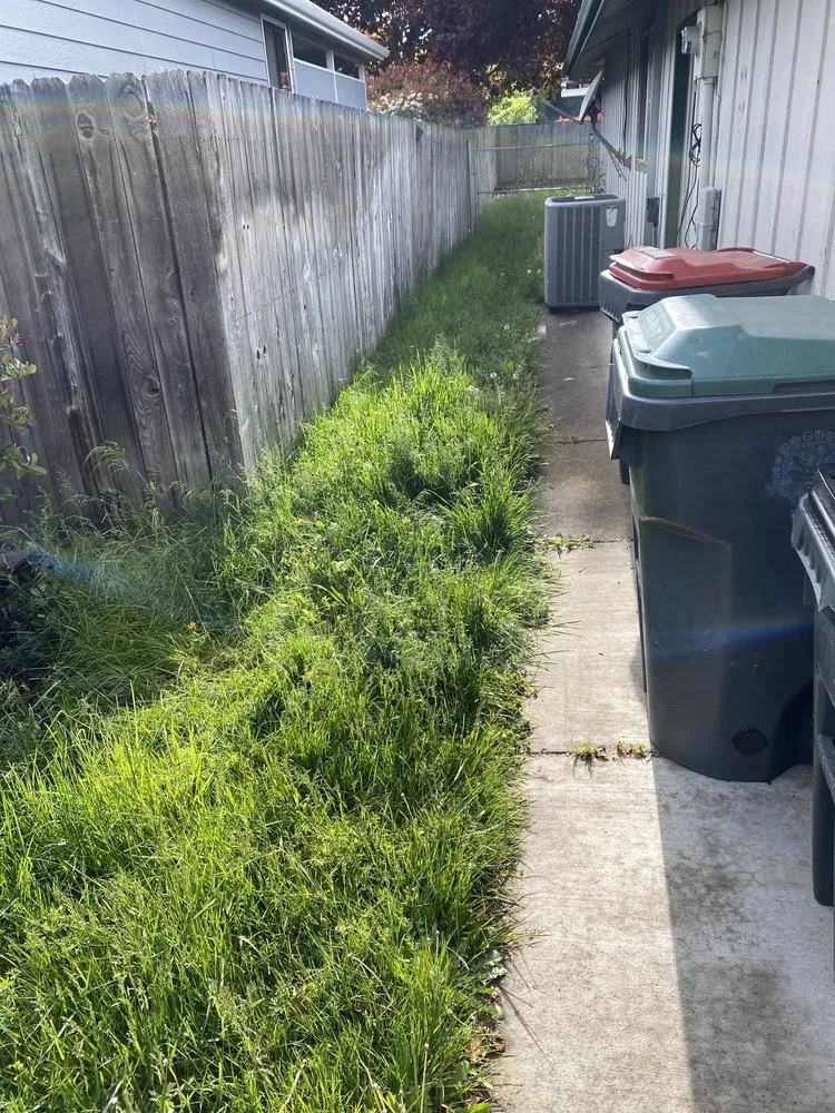 Professional landscape installation experts serving Jacksonville, OR - Jerrys Gardening Services