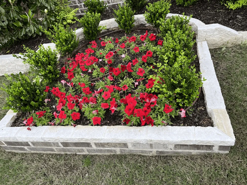 Affordable residential landscaping experts serving Denton, TX - Jerry's Landscape & Masonry