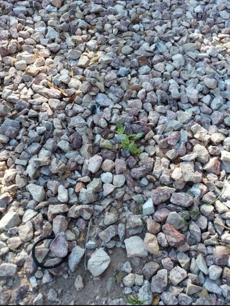 Affordable garden landscaping for year-round maintenance across Queen Creek, AZ - Jerry's Landscape