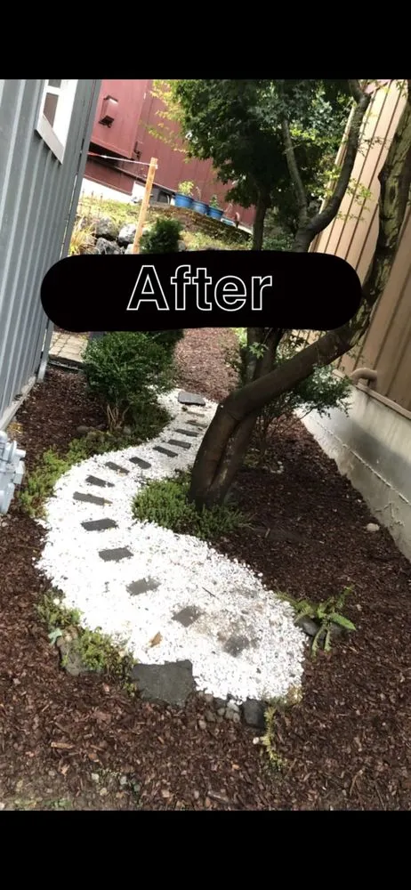 Reliable lawn care service in Everett, WA - Jerry’s Landscaping